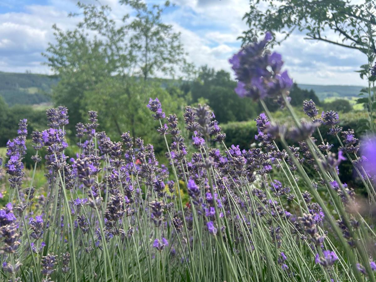Au Mont Des Brumes สตูมองต์ ภายนอก รูปภาพ